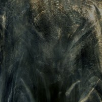 /album/vizie-2011/vizie-ii-jpg/